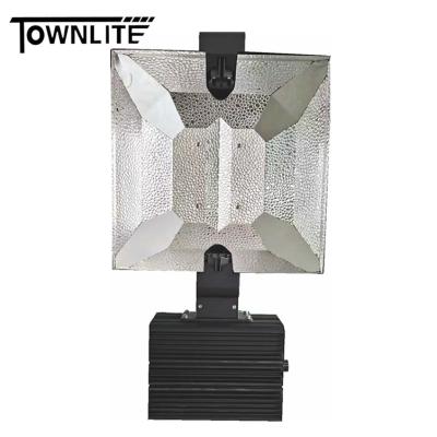 China Running FLOWER in Euro 1000w dimmable HID light double ended HPS to grow light for plant DE hydroponic fixture for sale