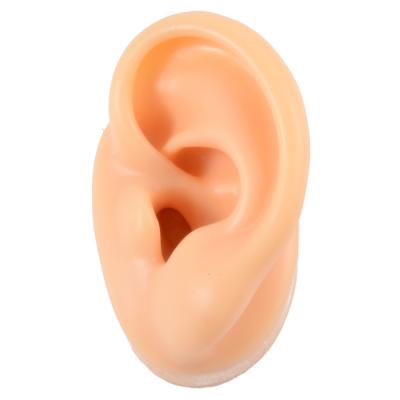 China CLASSIC Model Software Ear Simulation Human Props Display Props Ear Stud Ear Silica Gel Mold for sale