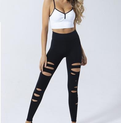 China Fashion Breathable Gym Wear Pencil Pants High Stretch Sexy Ankle Length Women Ripped Leggings for sale