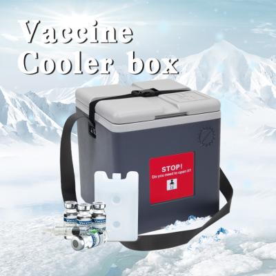 Cina 1.5L 1.7L Vaccina Cooler Box Ice Chest Cooler Box con coperchio rimovibile in vendita