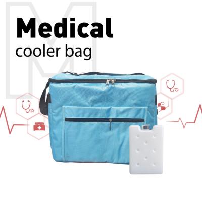 Cina 33 litri Soft Pack Cooler per il trasporto del sangue Zipper Mini Cooler Bag per la medicina in vendita