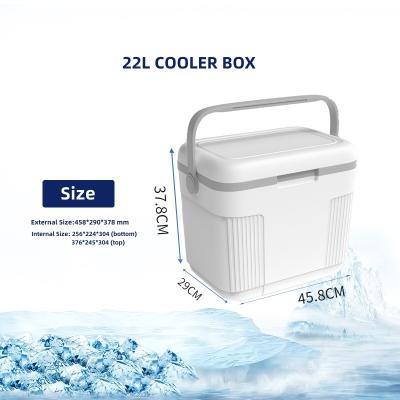 China Camping Plastic OEM Ice Chest Cooler Box Wit Beste Cool Box Makkelijk te dragen Te koop