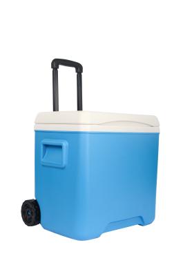 China Portable Cooler Box Kaltkette Transport Außencamping Funktion zu verkaufen