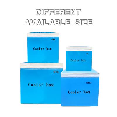 China Ice Packs Included Transport Temperature Control VIP Insulation Cold Box for sale