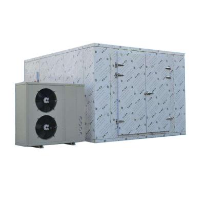 China Medicine Curing China Henan Ginger Drying Machine Low Price 2020 for sale