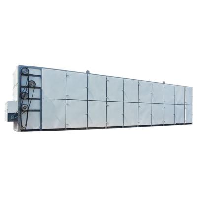 China Medicine Processing High Productivity Pepper Mesh Belt Drying Machine for sale