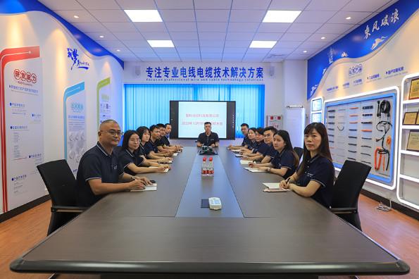 Geverifieerde leverancier in China: - Linke Cable Technology (DongGuan) CO.,LTD