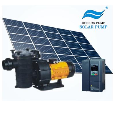 China Irrigation And Agriculture DC Solar Powered Swimming Pool Pump , Solar Swimming Pool Pump for sale