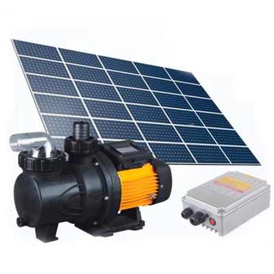 China Swimming pool JP6-7/250, solar powered swimming pool pump, solar water pump for swimming pools, DC motor water pump for sale