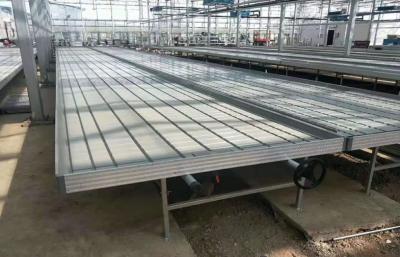 China El semillero hidropónico crece las bandejas que la flotación de Aquaponics crece la cama los 3ft los 4ft los 5ft en venta