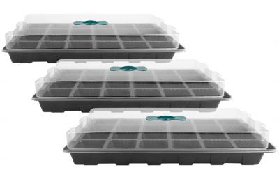 China Greenhouse Plant Strawberry Seed Plastic Horticultural Trays 24 Cells for sale