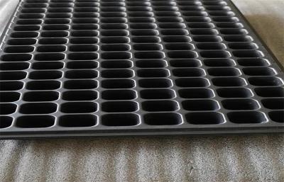 China Large Plastic Germination Trays 105 Cells Greenhouse Thermoforming for sale