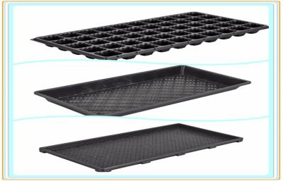 China PP Nutrient Bowl Plug Seed Starting Plastic Germination Trays With Drain Holes for sale