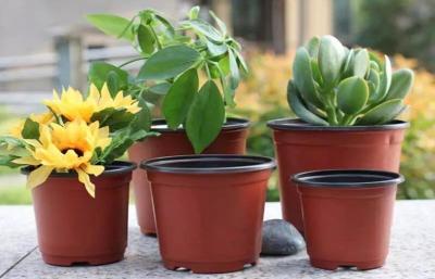 Chine Courant ascendant horticole en plastique de pots d'usine de pépinière formé pour la jeune plante de fleur à vendre