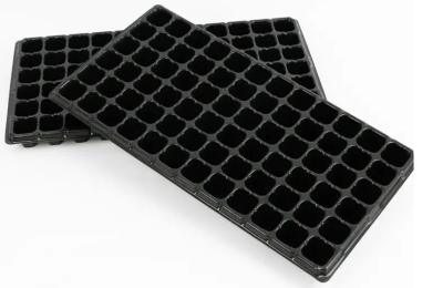 China Greenhouse Vegetables Deep Seed Starting Trays 72 Cells Plastic PS for sale