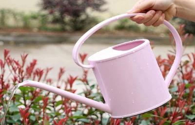 China Vegetable Field Family Garden 1.3L Plastic Watering Can For Plants for sale