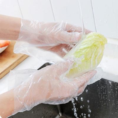 China Disposable Clear Color Kitchen Waterproof Disposable Biodegradable Plastic Gloves for sale