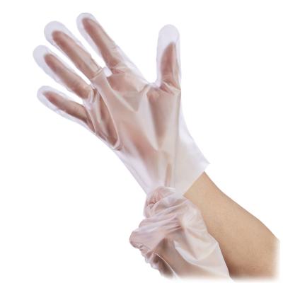 China New Disposable Household Disposable Delicatessen Daily Use Plastic Gloves for sale