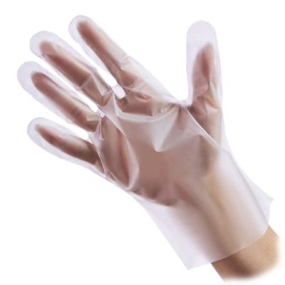 China Kitchen Disposable Reusable Household Handgloves Non-slip Plastic Food Service Gloves 100 Grade for sale