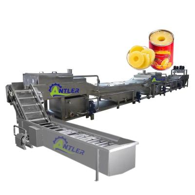 China High Efficiency Easy Operate Small Scale Canned Pineapple In Syrup Production Line Pineapple Slices Canning Machine for sale