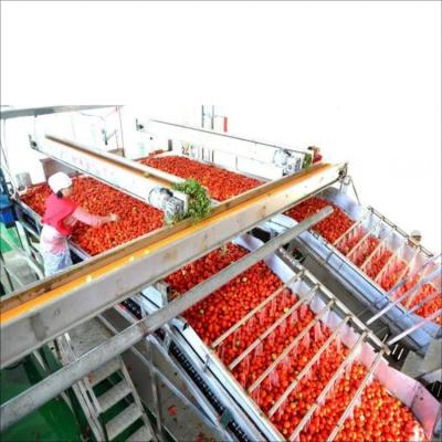 China High Efficiency Easy Operate ANTLER Factory Supply Canned Tomato Puree Processing Line for sale