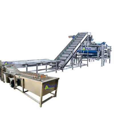 China High Efficiency Easy Operate Fully Automatic Pineapple Juice Production Line / Juice Concentrate Machine for sale