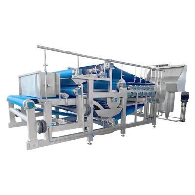 China High Eefficient Small Scale Factory Price Cashew Apple Press Juicing Machine for sale