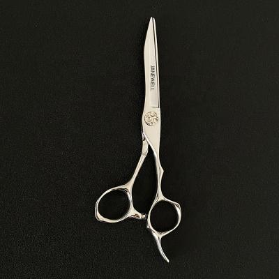 China Sales Promotion Hair Scissors Japan 440C Professional 6.0 Inch Barber Scissors Hair Scissors Hair Cutting Scissors for sale