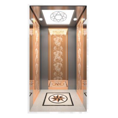 China Global Residential Hotel Use Safety FUJI Factory 5 People Elevator Golden Design Home Villa Elevator for sale