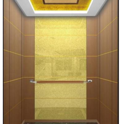 China Safety FUJI Brand Office Building Hotel 8 People Residential Elevator Home Passenger Elevator for sale