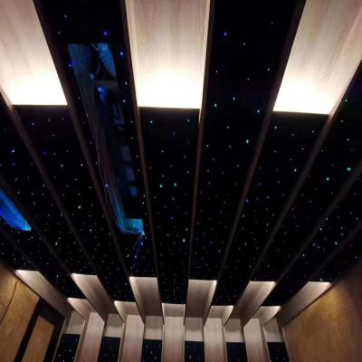 China Holiday Rayera Luminescence RGB Remote Control 5W Twinkle Led Fiber Optic Starry Ceiling Roof Lights Kit for sale