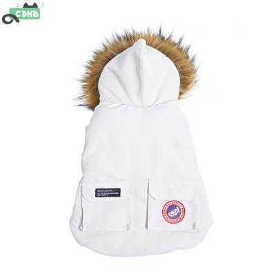 China Windproof Stocked Dog Coat With Warm Plush Hat Winter Pet Down Jacket Cold Weather Dog Clothing Clothes for sale