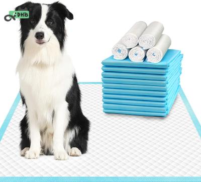 China Amazon Stocked Warm Disposable Regular 60x60 Dog Pads Extra Large 60x90 Puppy Pads for sale