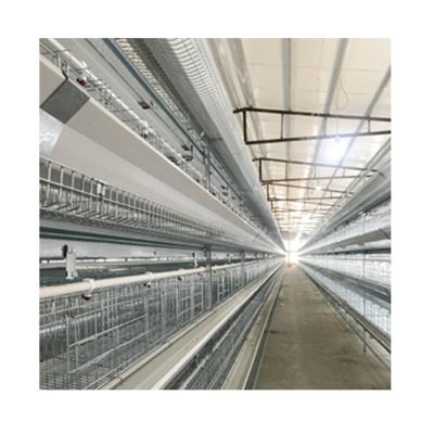 China Full Automatic Poultry Farming Equipment Automatic Farm Broiler Incubator Poultry For Sale for sale