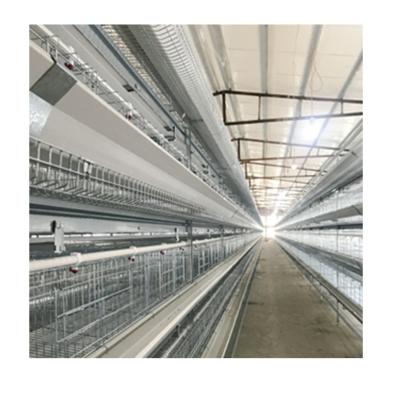 China Many Kinds Full Automatic Poultry Equipment Chicken Raising Floor Equipment Poultry for sale