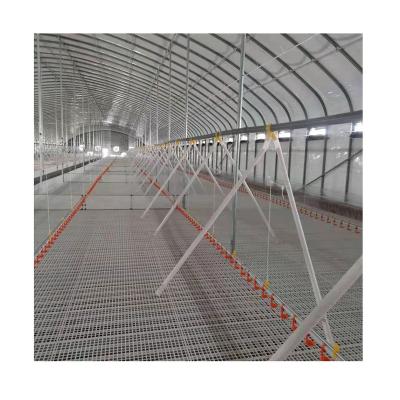 China Poultry Farm Poultry-Nipple Drinker Chain Feeding System Automatic Waterline for Broiler Chickens for sale