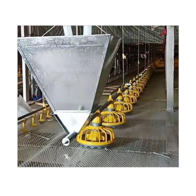 China Automatic Water Line Poultry Farm Chain Poultry Farm Feeding Drinking System For Broilers for sale