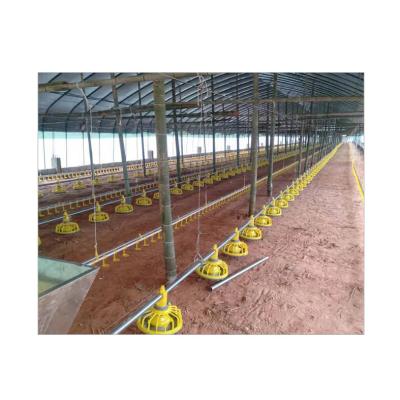 China Poultry Farm Chain Tray Feeding Equipment Automatic Chicken Poultry Drinking System for sale