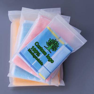 China Recyclable Custom Matte/frosted Biodegradable Plastic Packaging Zip Lock Bags T Shirt Swimwear Zipper Clothing Bags With Logo for sale