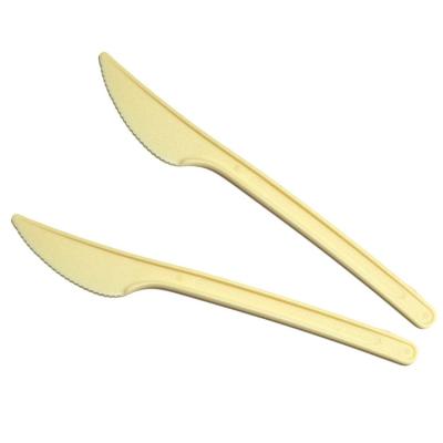 China Eco-Friendly Plastic PS Dessert Knife Disposable Plastic Cake Knife for sale