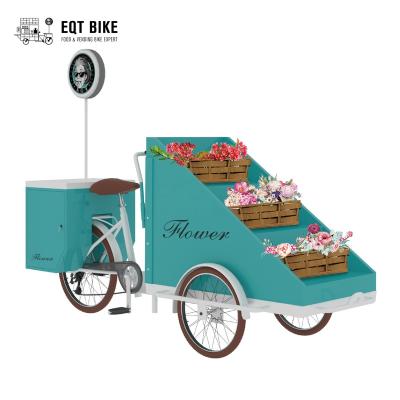 China Universal Commercial Selling Books Bike /book bike /flower bike for sale