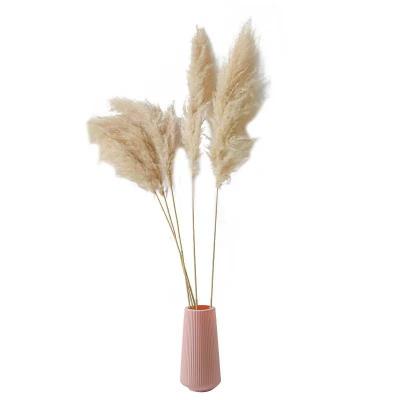 China Contact Factory Direct Selling Large Reed Dried Flower Pampas Grass Natural Artificial Decorative Flower for sale