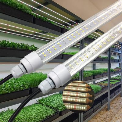 China Seed Starting IP65 Led Grow Light Greenhouse Hydroponic Indoor Plants Full Spectrum Led Light Growing for sale