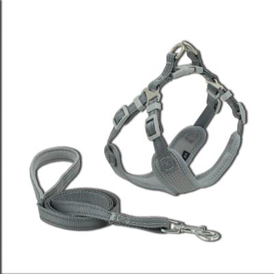 China Custom Design Competitive Price Custom Harness With Collar Manufacturer Supplier From China for sale