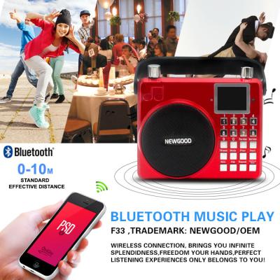 China Jugador de música al aire libre de Newgood 20W Bluetooth con la grabación y la manija de la voz en venta