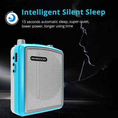 China Stereo Echo Pa Amplifier UHF Headset Wireless Microphone Loud Speaker Intelligent Smart Wake Up Sleep Auto Connecting for sale