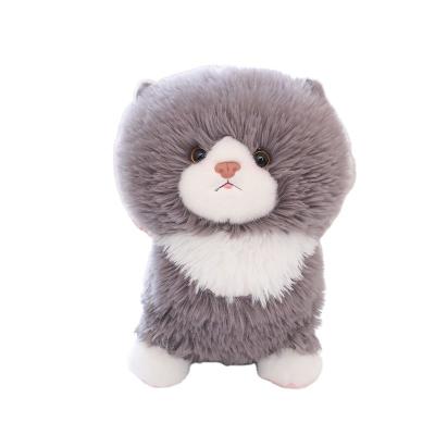 China Wholesale New Arrival Cute Soft Stuffed Soft Fat Cat Plush Toy 25cm for sale