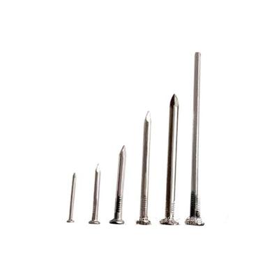 China Cheap Professionally Manufactured Iron Steel Stainless Steel Long Headed Form Cement Steel Straight Nail for sale