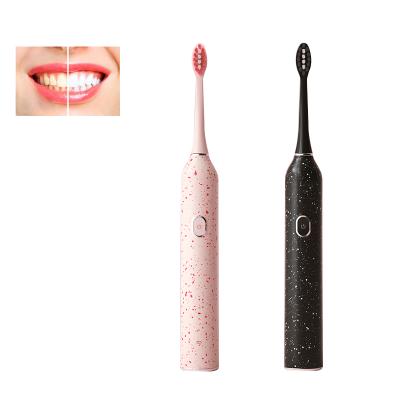 China Tooth Cleaning Oral Hygiene Products Escova De Dente Waterproof Electric Toothbrush OEM Cepillo Dental Dent Kit Brush A for sale