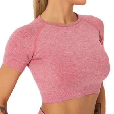 China Women's tight sports yoga top short-sleeved quick-drying section sexy slim seamless apparel running fitness yoga T-shirt for sale